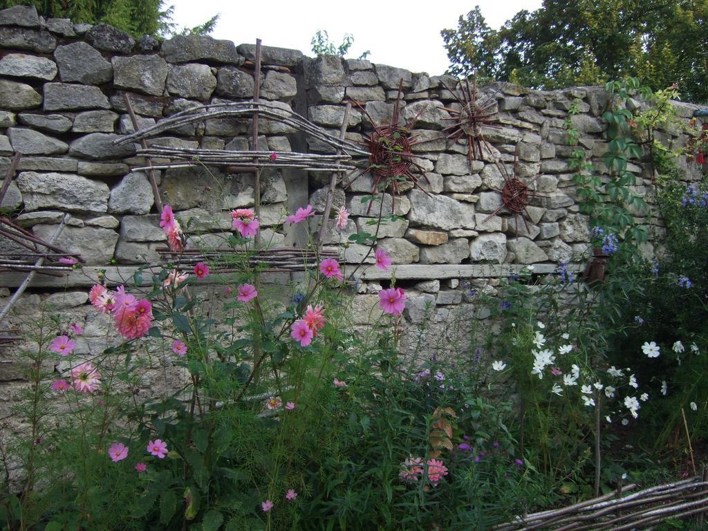 Le Vieux Velo Bed & Breakfast Chaptuzat Exterior photo